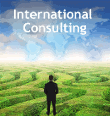 international_consulting.gif, 9,9kB